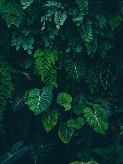 What is certified organic skincare?