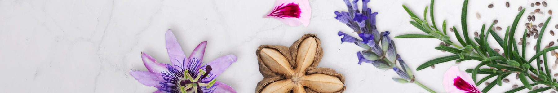 Background image of key Nunaia vital active ingredients including Sacha Inchi, Maracuja, Chia and Avacado