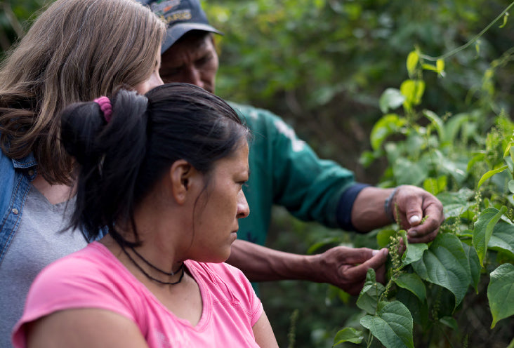 Nunaia Founder visiting our growers in the Peruvian Rain-forest where the serum ingredients are sustainable sourced